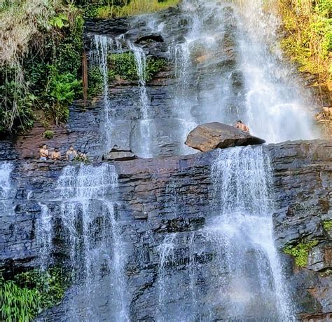 Jhari Falls/Buttermilk Falls/Dabdabe Falls Chikmagalur - One Stop Destination: - Homestay Advisor