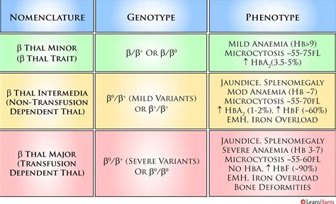 Beta Thalassemia Genotypes