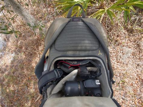 Recommended Camera Bags for Wildlife Photography