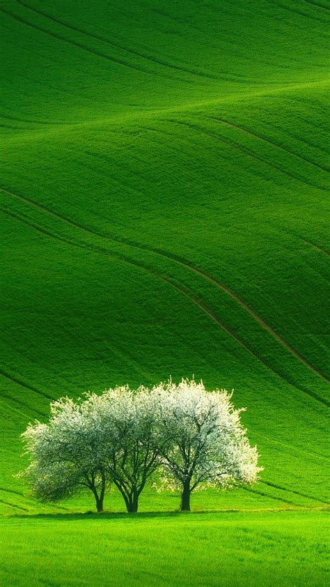 Green Beautiful Nature Scenery Android , Nature Android HD phone ...