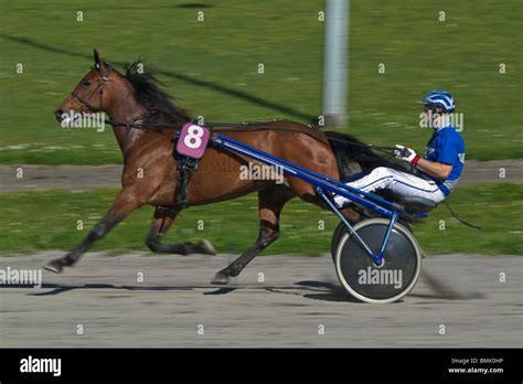 Trotting Track Stock Photos & Trotting Track Stock Images - Alamy