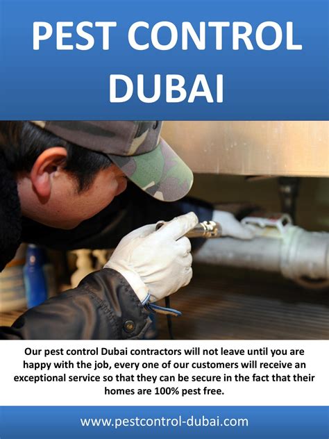 Pest Control Dubai Price - Best Pest Control Company In Dubai - Page 1 - 10 | Flip PDF Online ...