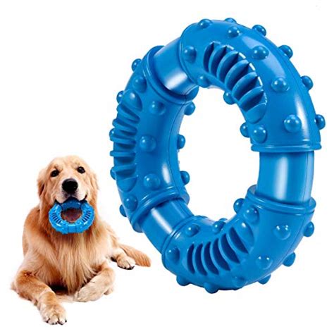 5 Dog Toys That Will Survive Your Tough Chewer