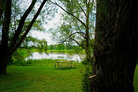 Riverside-Cedar Campground - Camping & Beaches