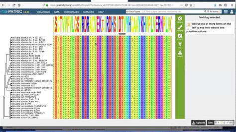 Generating a Multiple Sequence Alignment - YouTube