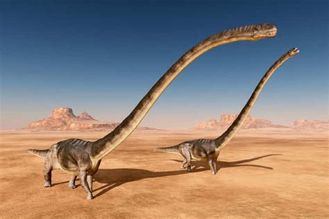 Gigantic 500 kg dinosaur bone found in France, belongs to the world’s biggest dinosaur, France ...