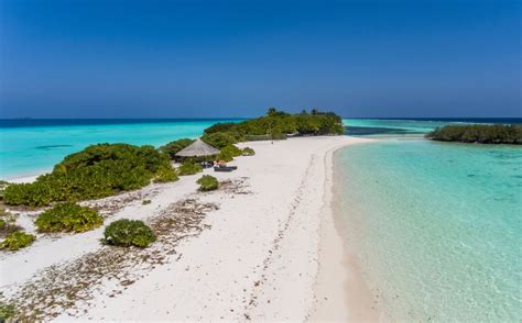 THE INDULGE MALDIVES DHIGURAH ISLAND GUIDE – INDULGE MALDIVES