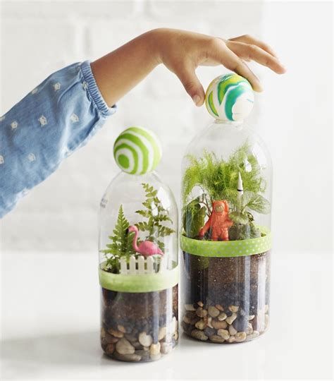 Diy Terrarium Water Filter at Karen Sansbury blog