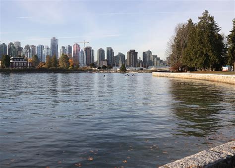 Coal Harbour Seawall Pictures | Download Free Images on Unsplash