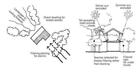 3 Passive Cooling Techniques in the Tropics - Constantin Design and Build