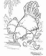 Free Printable Farm Animal Coloring Pages For Kids sketch template