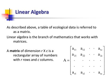 PPT - Matrix Algebra - Overview PowerPoint Presentation, free download - ID:5947034