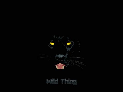 Black Puma Wallpapers on WallpaperDog