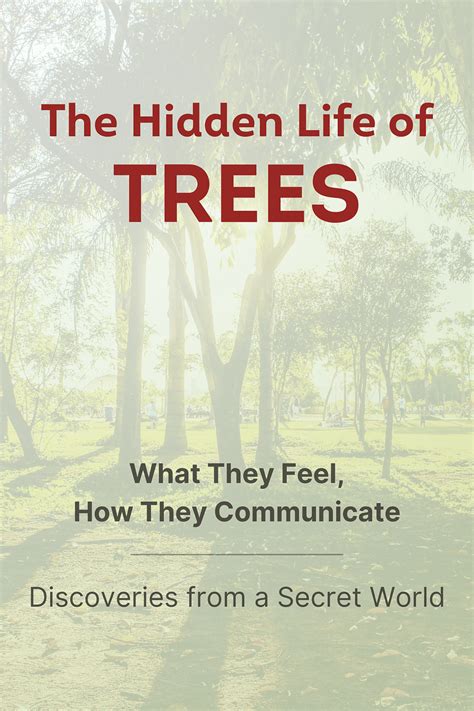 The Hidden Life of Trees (Peter Wohlleben) - Book Summary