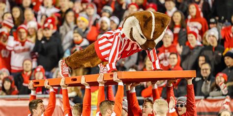 Wisconsin mascot tales: Life as Bucky Badger, from pushups to antics to lifelong bonds - The ...