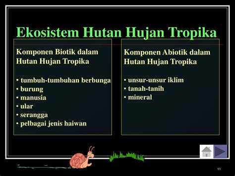 PPT - Ekosistem PowerPoint Presentation, free download - ID:1135327