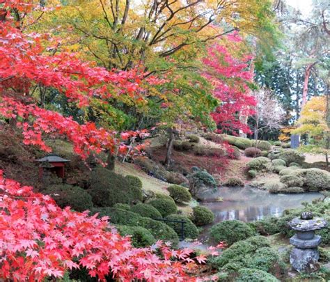 A Walk to Remember in Nikko National Park, Japan - YourAmazingPlaces.com