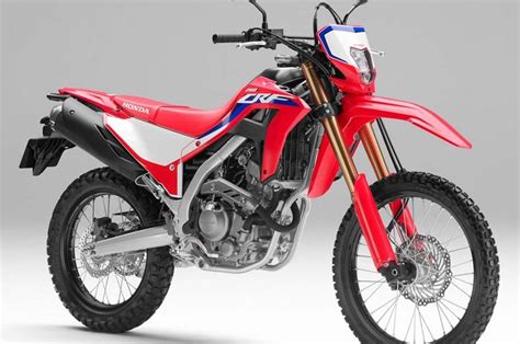 Honda CRF250L 2021 Meluncur, Tampil Lebih Sporty Pakai Striping Ala ...