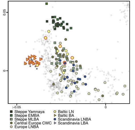 Genetic prehistory of the Baltic Sea region and Y-DNA: Corded Ware and ...