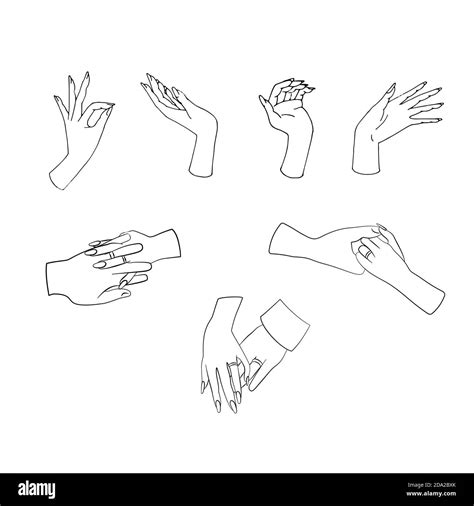 Elegant hand drawn line art hands gestures clipart set. Couple holding ...