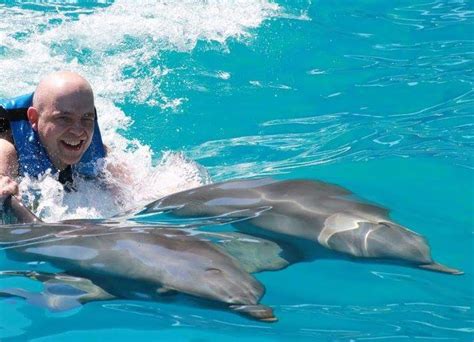 Florida Locations to Swim with Dolphins (800) 667-5524