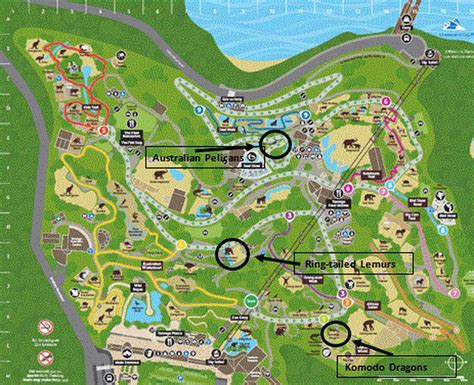 Zoo Map - My taronga zoo experience