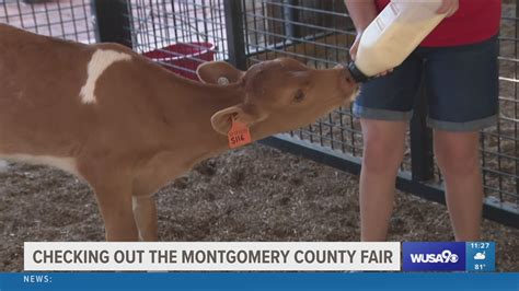 74th annual montgomery county agricultural fair begins | wusa9.com