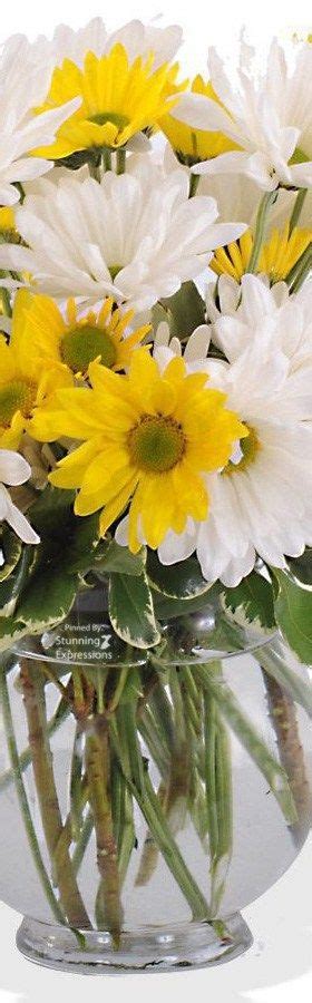 Daisy – April Flower | April flowers, Beautiful flower arrangements ...