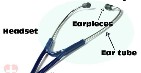 Parts of a Stethoscope | Nurselk.com