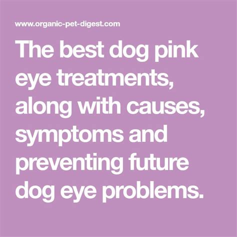 The best dog pink eye treatments, along with causes, symptoms and ...