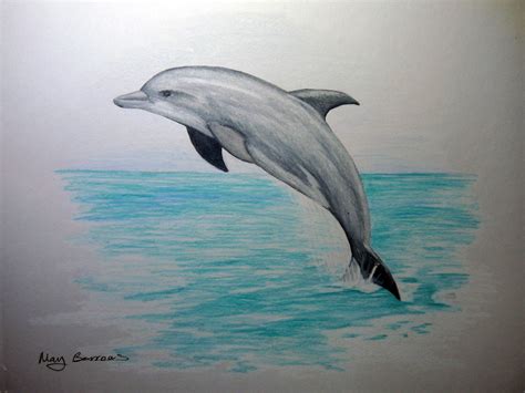 Posts about Colored Pencil on The Aspiring Illustrator | Dolphin drawing, Dolphin art, Dolphin ...