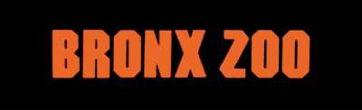 Bronx Zoo - discography, line-up, biography, interviews, photos