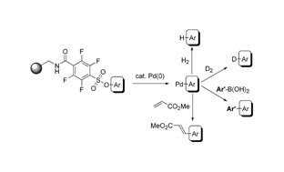 A ‘triflate-like’ tetrafluoroarylsulfonate linker for multifunctional ...