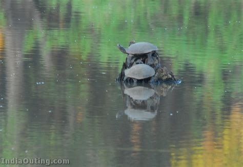 Nagarhole National Park | Pictures & Information | India Travel