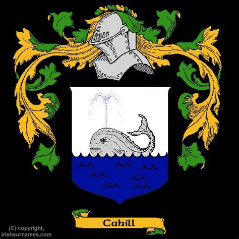 the coat of arms of cahilli is an irish family crest, with two dolphins and