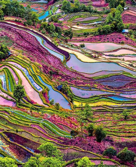 Somewhere over the rainbow — awendala: Yuanyang rice terraces, Yunnan, China | Nature ...