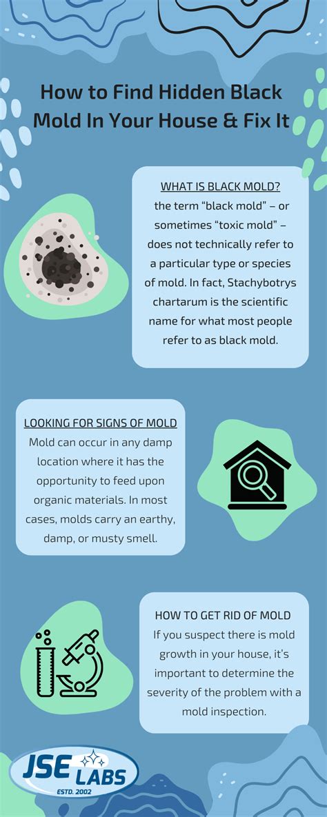 How to Find & Fix Hidden Black Mold in Your Home | JSE Labs