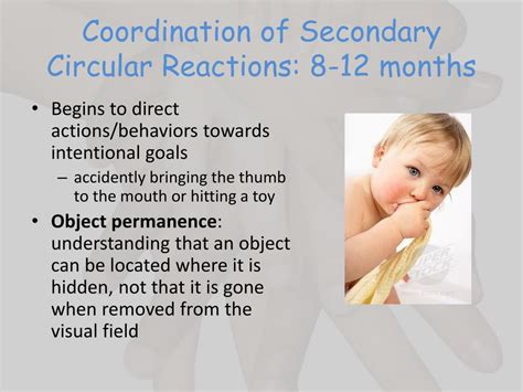 Piaget's Object Permanence Sensorimotor Stage Overview, Stages Examples Video Lesson Transcript ...