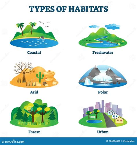 Types of Habitats Vector Illustration. Labeled Various Species Home Examples Stock Vector ...