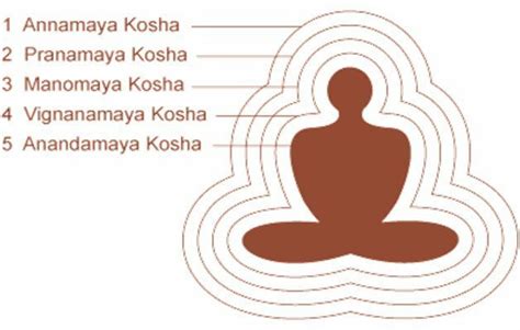 How Important Pancha Kosha Theory in Yoga