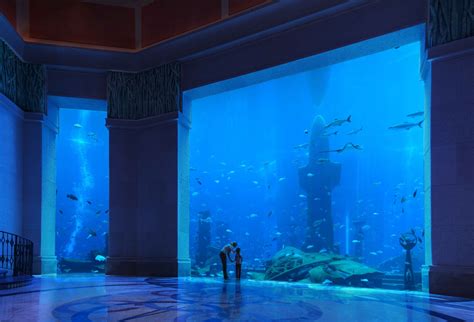 Atlantis The Palm, Dubai - Fairy Tale Palace Of The Lost City With The ...