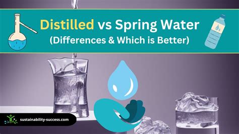 Distilled vs Spring Water (What's the Difference & Which is Better)