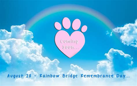 Mark Your Calendars - August 28: Rainbow Bridge Remembrance Event | Zee & Zoey's Cat Chronicles