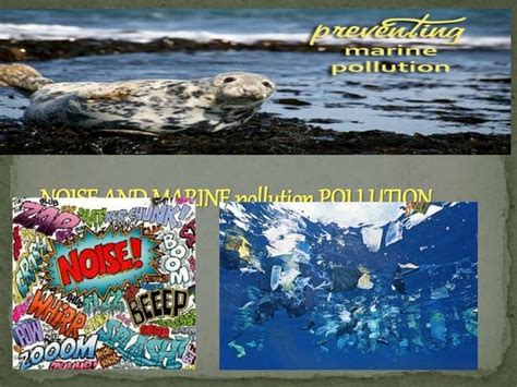 Water pollution and fish