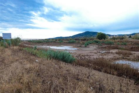 Llobregat river very close to its mouth in the mediterranean sea near ...