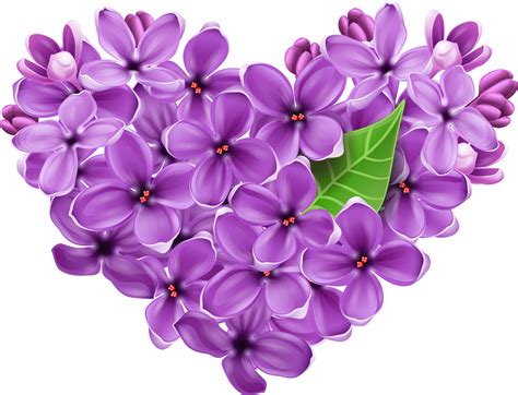 Purple Lilac Heart PNG Picture | Gallery Yopriceville - High-Quality Free Images and Transparent ...