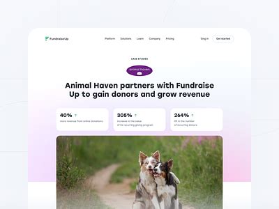 Animal Haven designs, themes, templates and downloadable graphic elements on Dribbble