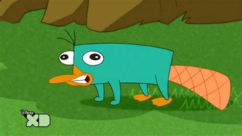 Perry The Platypus Wallpapers - Wallpaper Cave