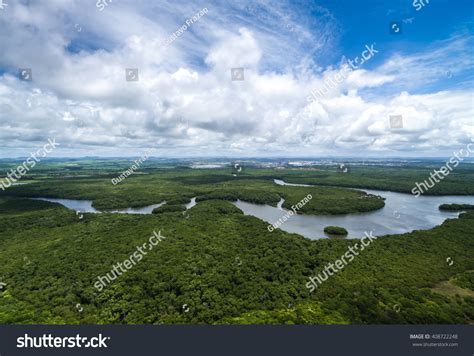 3,610 Amazon rainforest bolivia Images, Stock Photos & Vectors ...