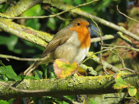 Birding in Queen Elizabeth Park - Fairend Safaris